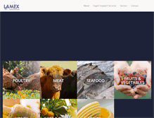 Tablet Screenshot of lamexfoods.us